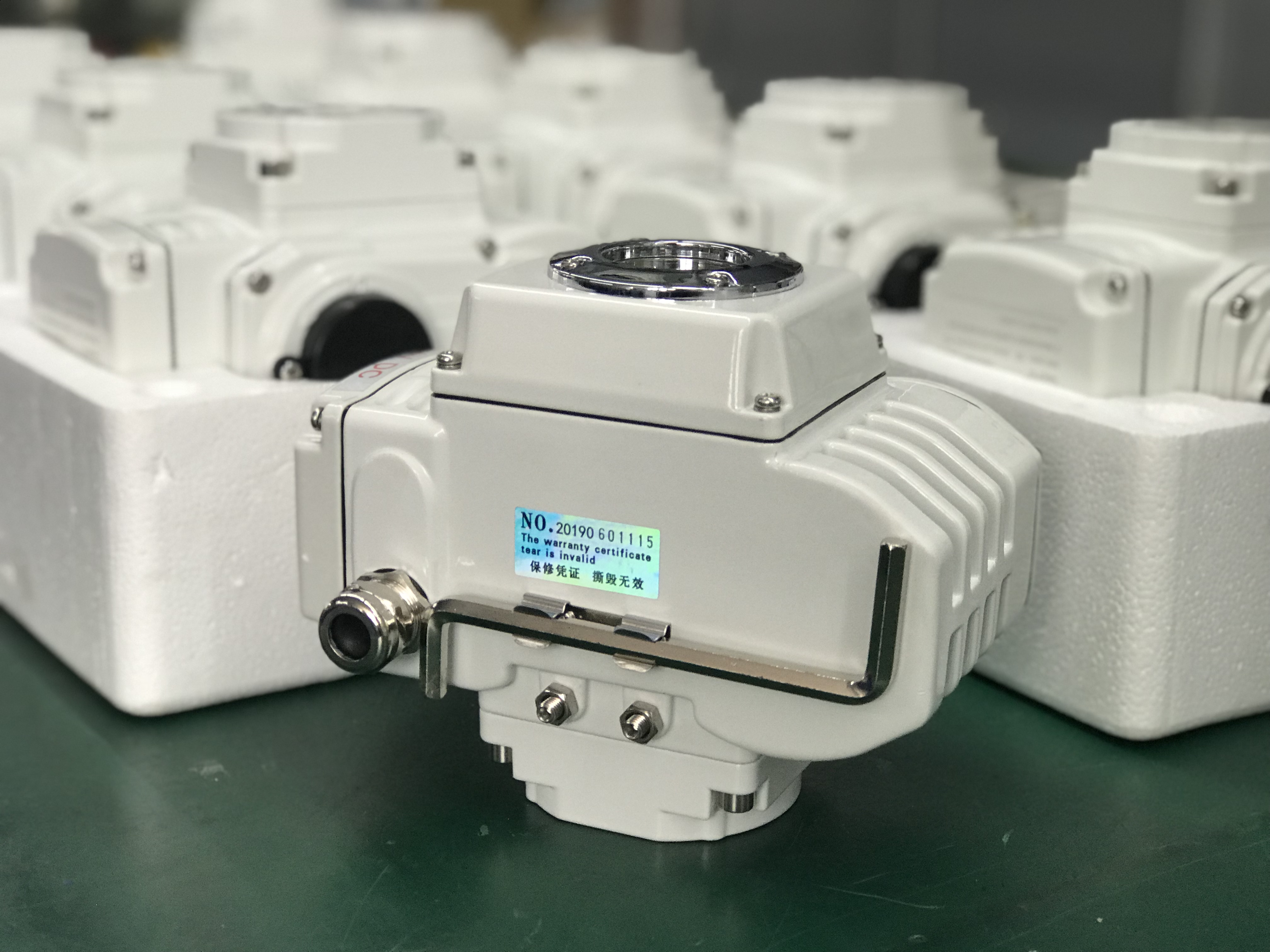 電動執(zhí)行器 (6).JPG