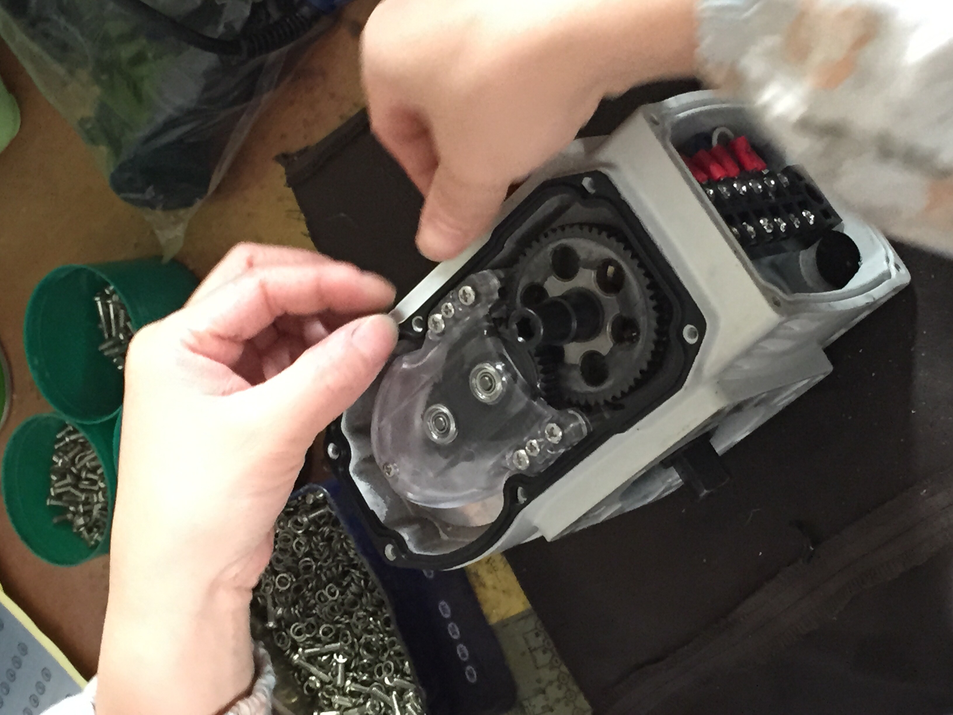 1637567011545344.jpg Picture 14983936.jpg