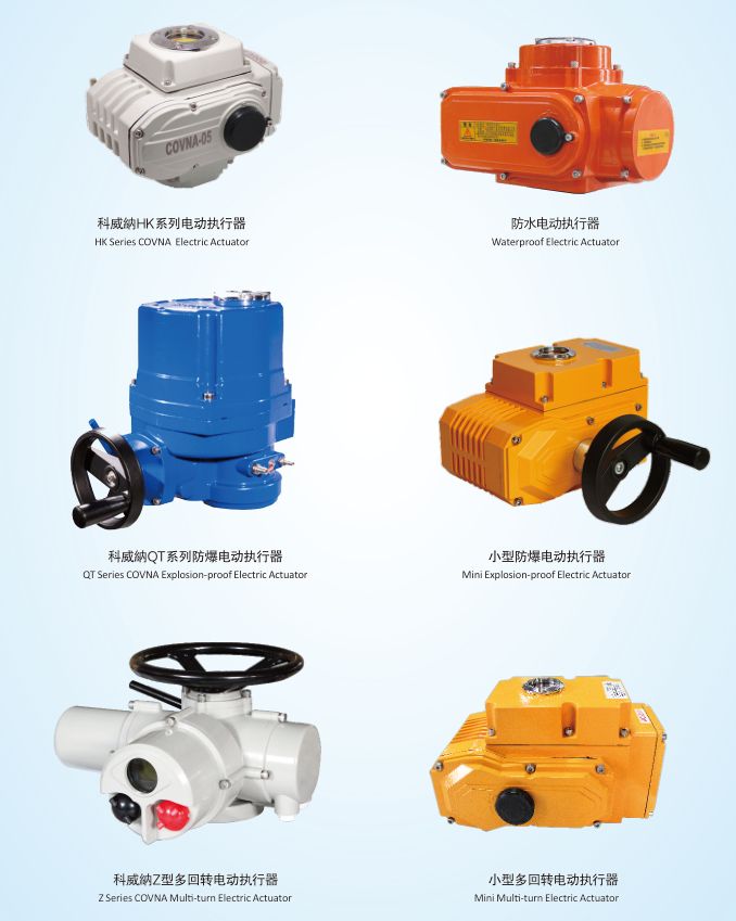 電動執(zhí)行器 電動執(zhí)行器