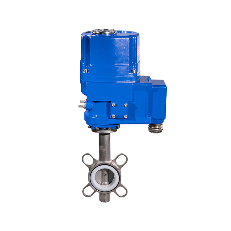 HK60Q-EX-D-S防爆電動不銹鋼對夾蝶閥