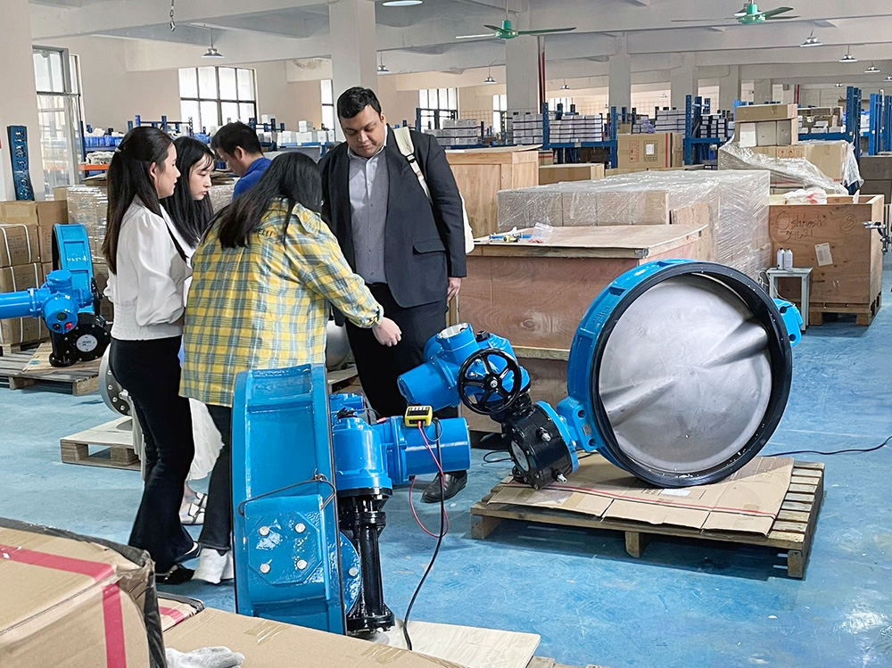 國(guó)外客戶拜訪科威納