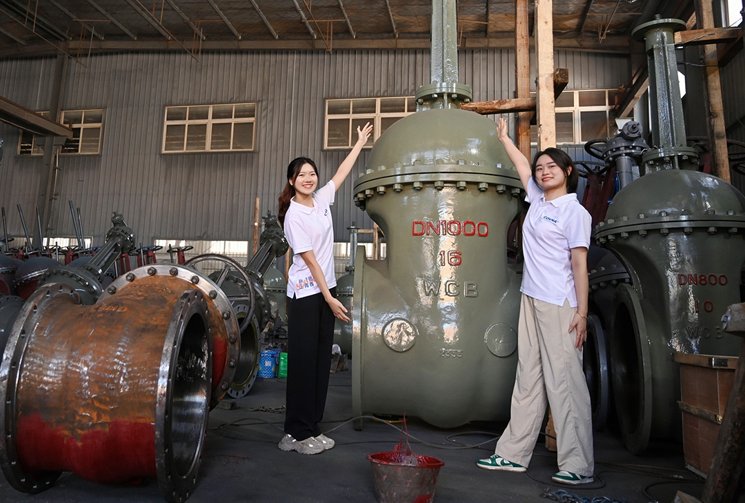 大型自動化閥門，已成為現(xiàn)代化工業(yè)管道系統(tǒng)中不可或缺的關(guān)鍵設(shè)備